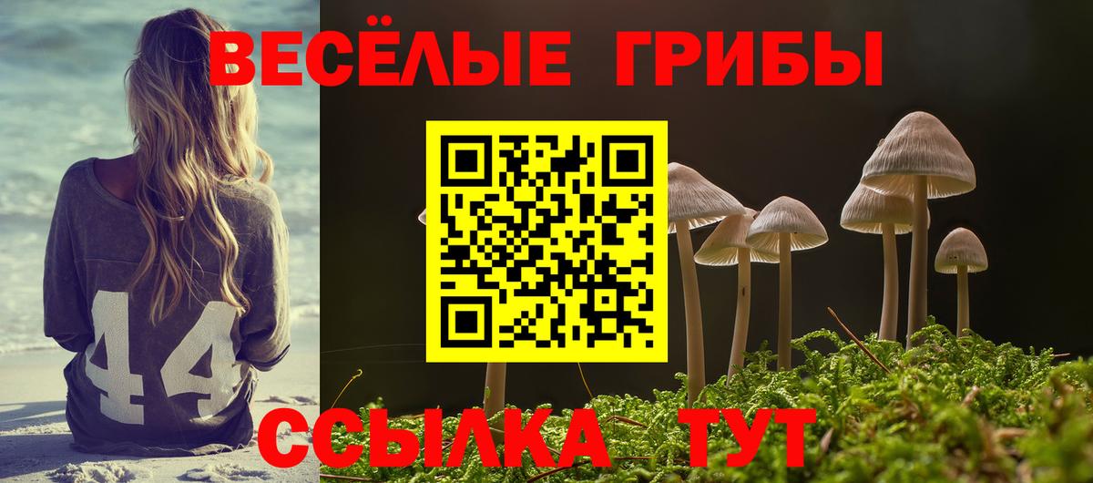 Усинск  как найти закладки  Вход с VPN  Псилоцибиновые грибы мухоморы 